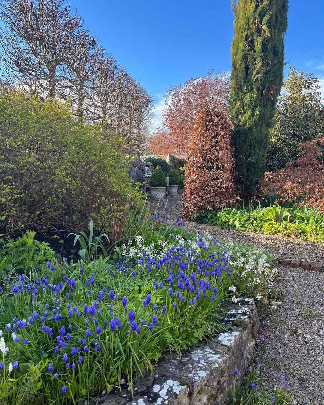 jardim com flores roxas e brancas