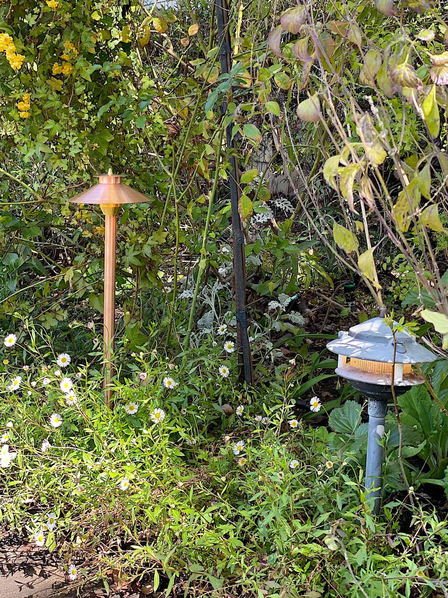 Ideias para iluminação de jardins